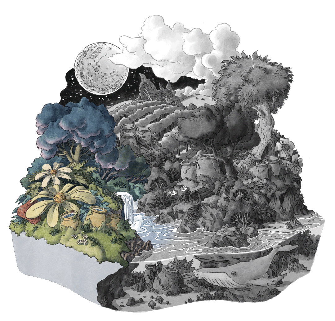 clayface-map-full-2hover