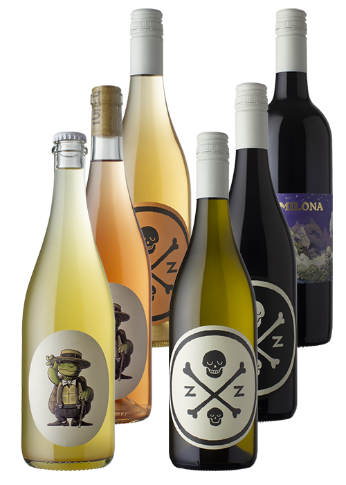 dormilona mixed 6 pack