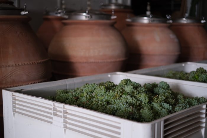 Cellar Tasting - Image 6