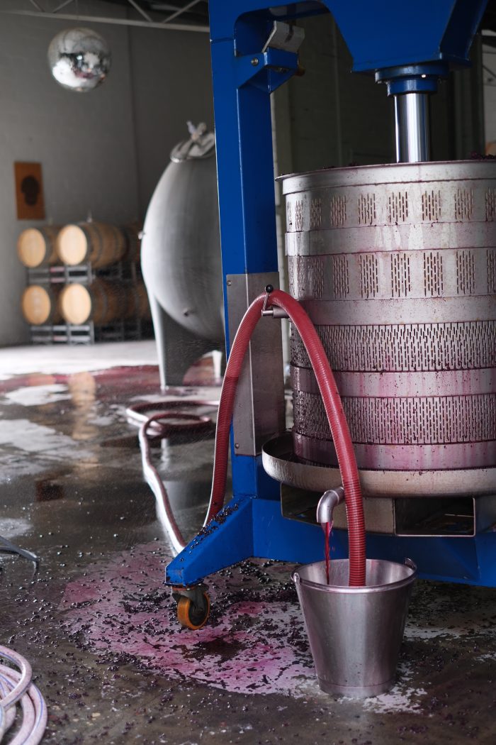 Cellar Tasting - Image 3