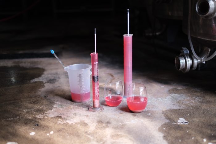 Cellar Tasting - Image 7
